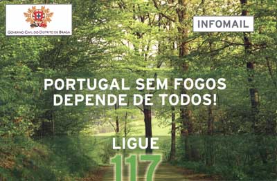 Incêndios Florestais 